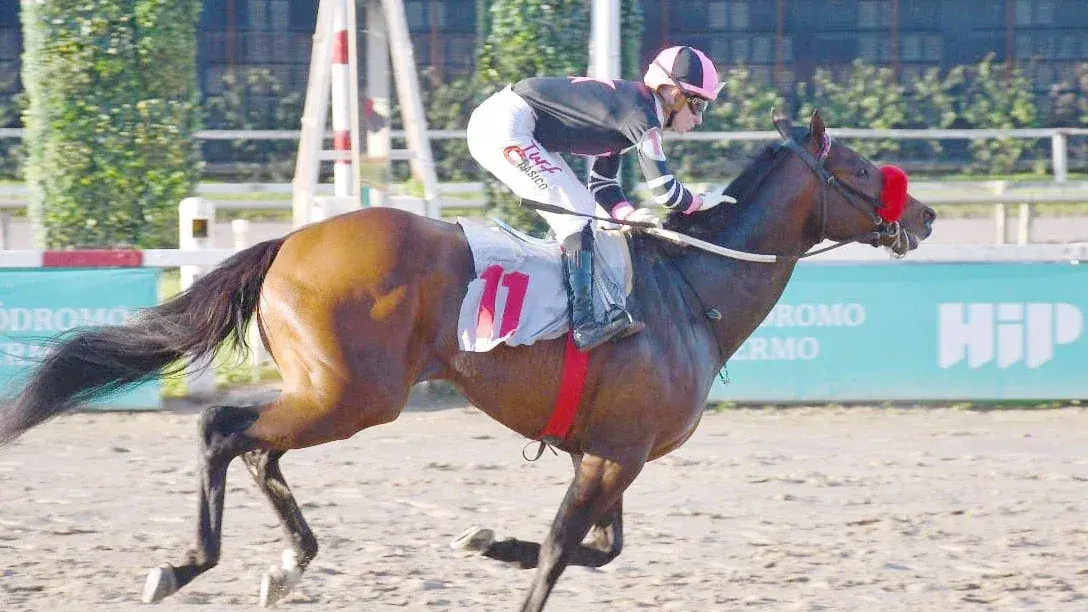 Tras ganar de notable forma el Cané (G2), Fletcher quiere consagrarse en la Polla de Potrillos (G1)