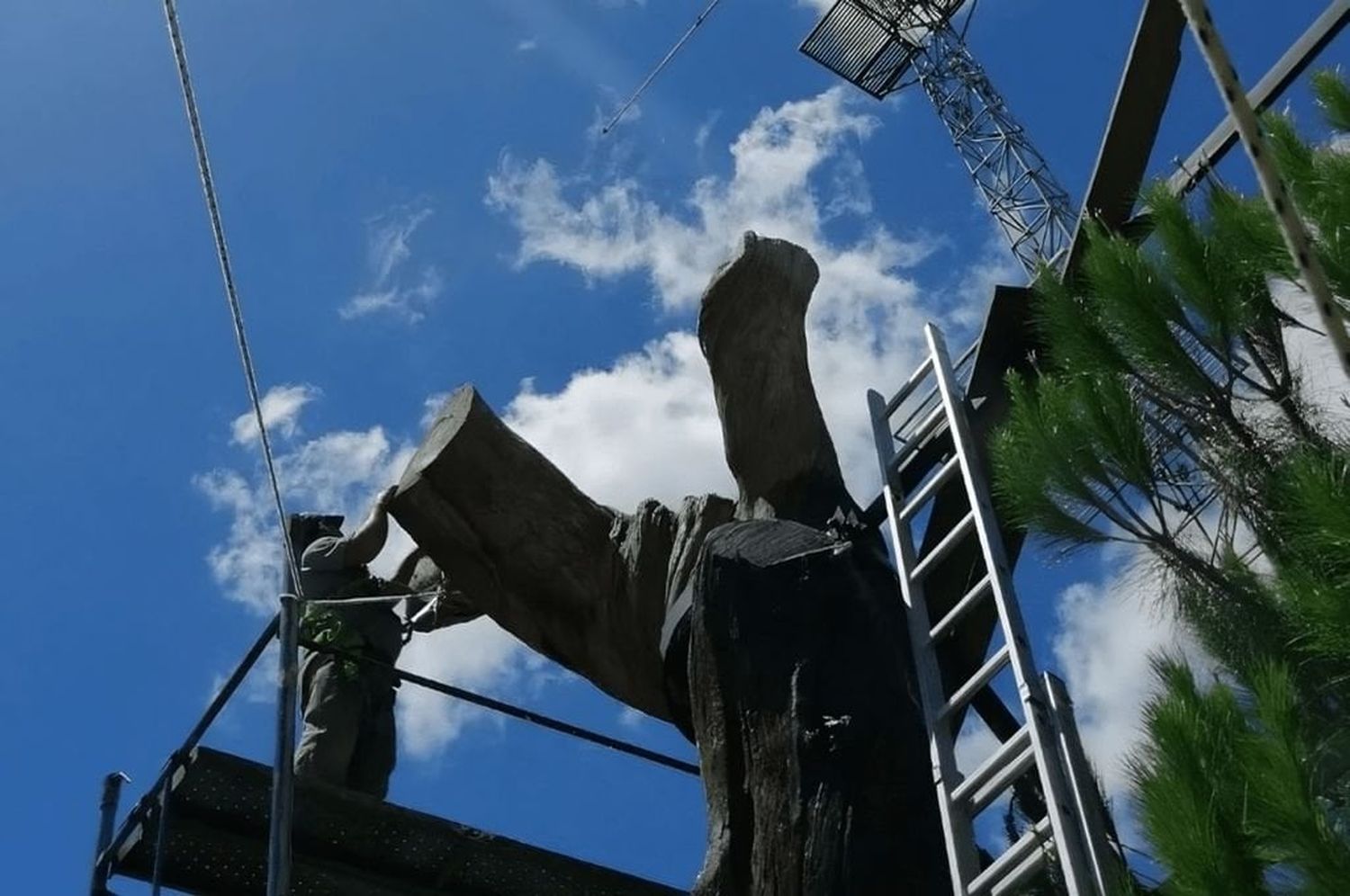 Los trabajos los encargó la Municipalidad de San Lorenzo y los llevó a cabo el ingeniero agrónomo Rubén Coniglio.