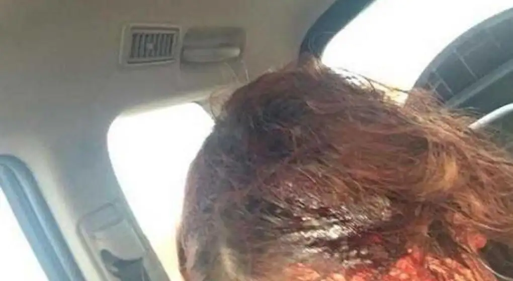 Secuestró y atacó con un hacha a dos chicas porque estaba "harto del Día de la Mujer"