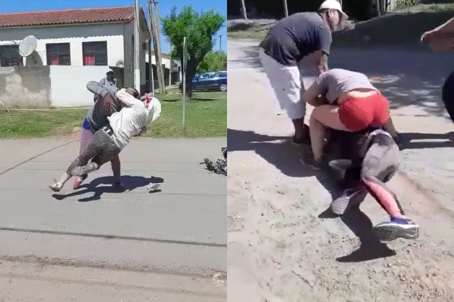 Río Tala: circulan videos de dos peleas entre mujeres por un conflicto en el campo