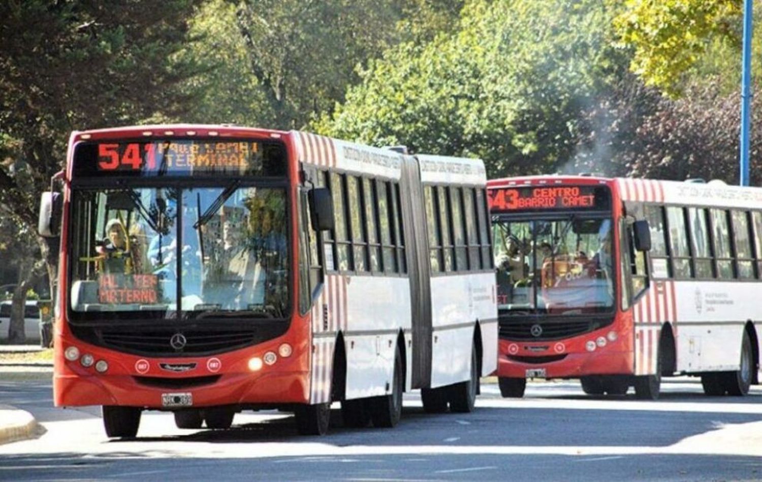 Mar del Plata: El boleto de colectivo ya cuesta casi 300 pesos