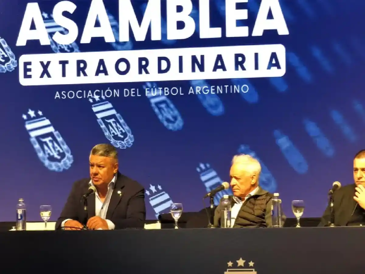 Es oficial: La AFA eliminó un descenso de la Liga Profesional por unanimidad