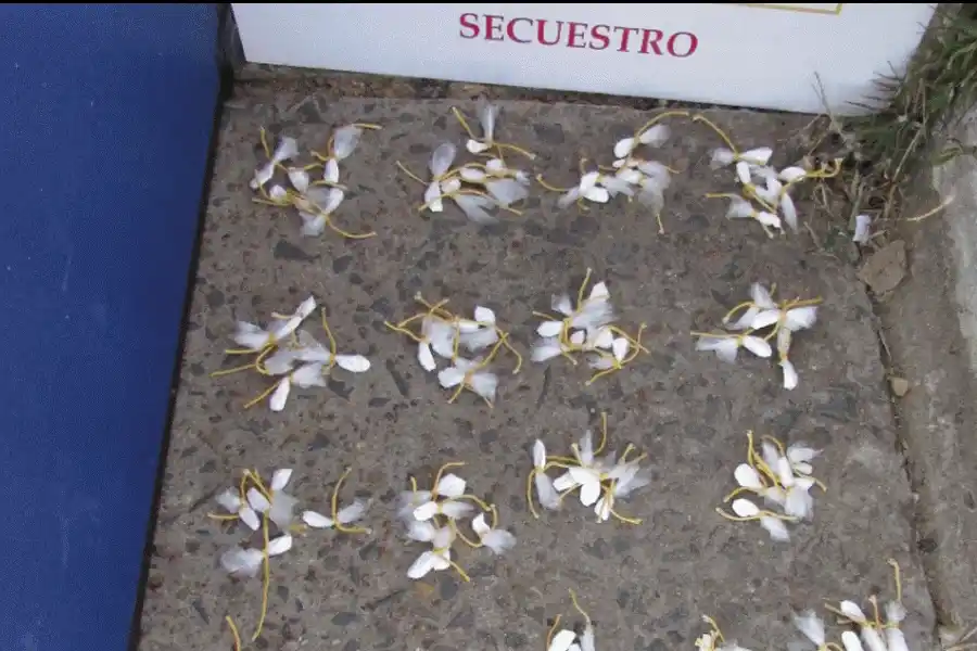 Condenaron a concordiense por transportar y vender cocaína en Federal