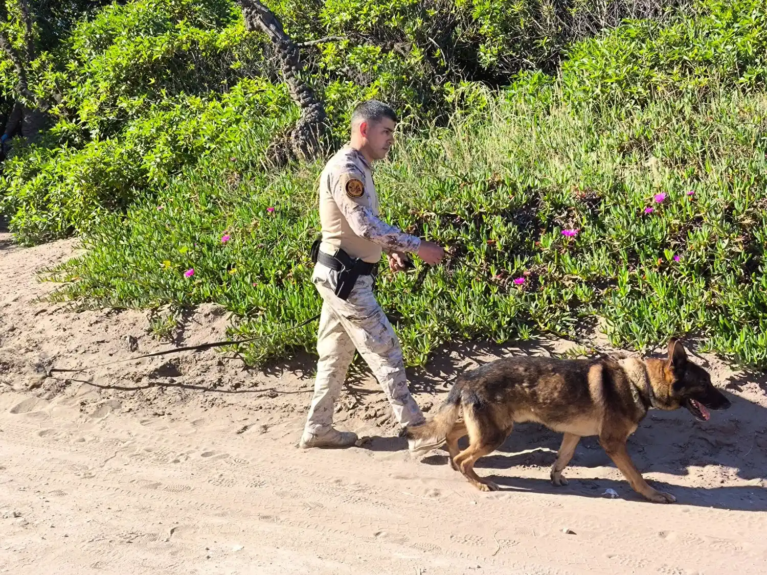 Con canes especializados en la búsqueda de personas, trabajan agentes de la Prefectura en colaboración a los policías bonaerenses