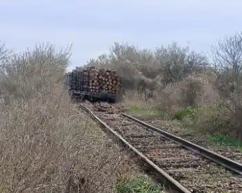 Personal de "Trenes Argentinos" trabaja en el lugar.