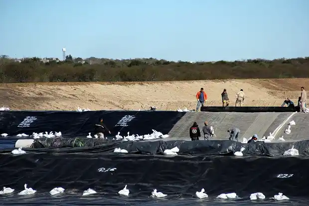 Hallaron un feto en el Ecoparque: provino del Hospital