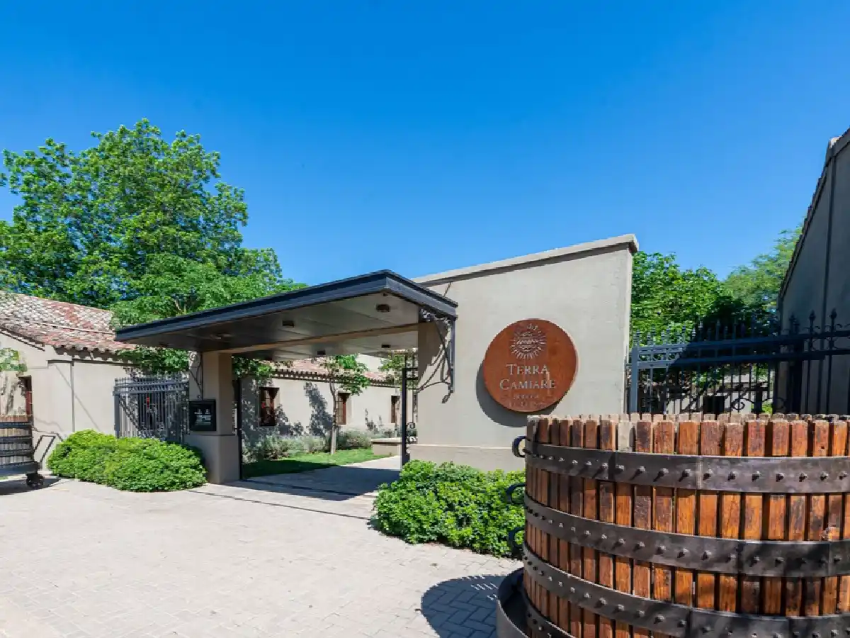 Turismo enológico en  Córdoba: 23 bodegas para  descubrir los sabores del vino   