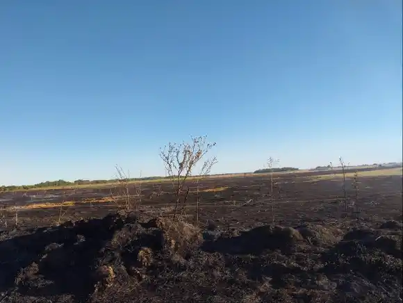 Bomberos lograron controlar un incendio de gran magnitud en Castelli