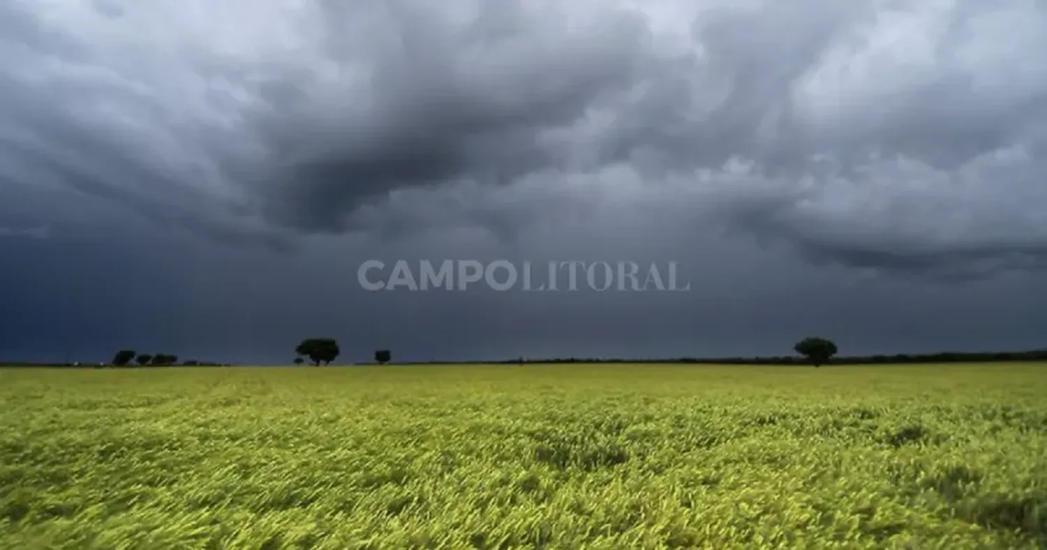 Confirman la previsión de lluvias por encima de la media en este verano.