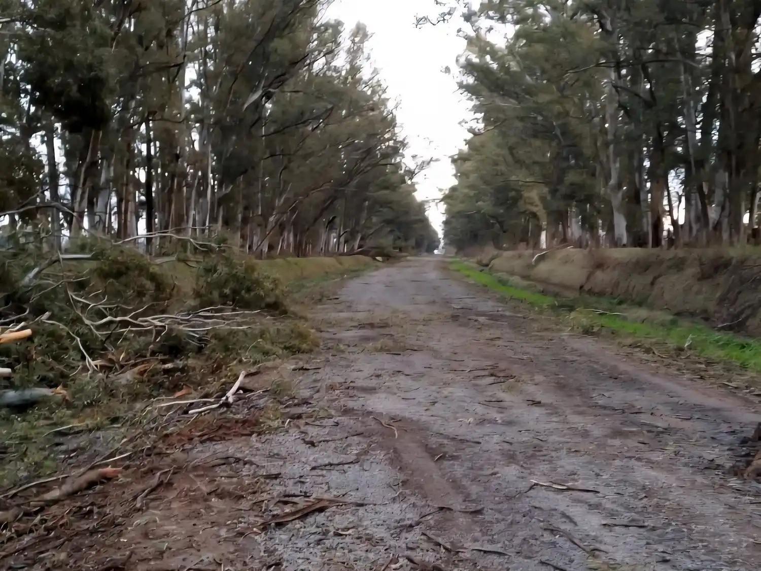 Ruta 7s Villa Cañás