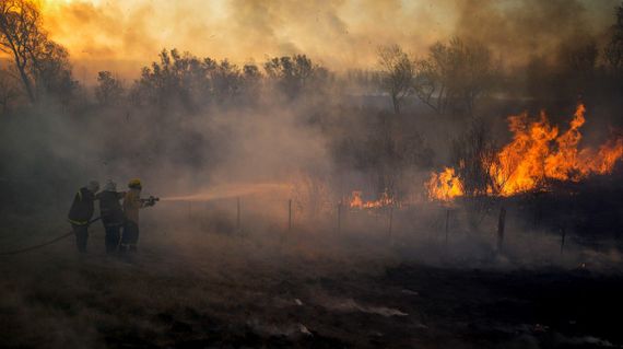 Defensa Civil emitió un alerta por el alto riesgo de incendios en Tandil