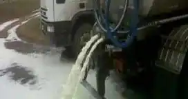 Tamberos tiran leche al no poder sacarla por las inundaciones