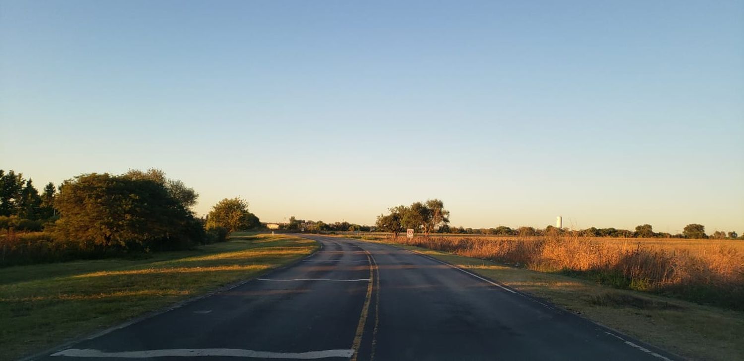 Camiones brasileños que circulas por nuestras rutas sin control