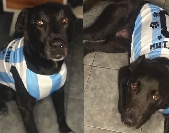 Buscan a Thomás