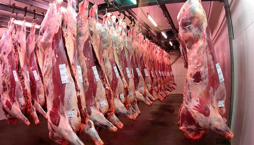 El consumo de carne sigue por debajo de los niveles prepandemia, según un informe del sector en mayo