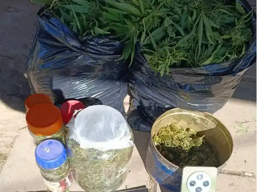Se secuestraron 3,222 kilogramos de una sustancia vegetal compatible con marihuana y un teléfono celular. Foto: Gentileza PDI