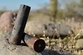 ACETRA impulsa el reemplazo de municiones de plomo por acero durante la temporada de caza