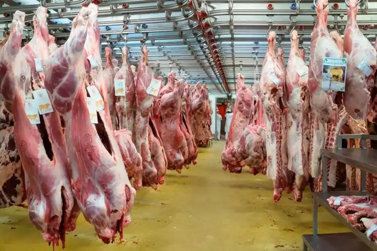 La faena de ganado vacuno y la producción de carne aumentaron durante el año 2018
