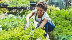 “La mente bien ajardinada”: el poder terapéutico de la jardinería para la salud mental