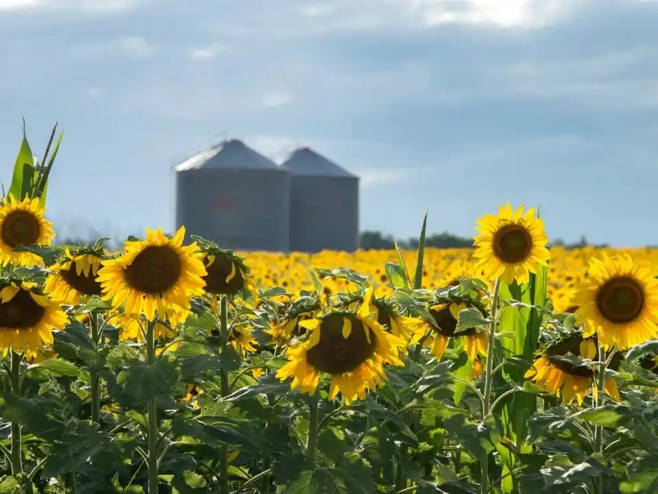 El Gobierno oficializó finalmente la baja de retenciones