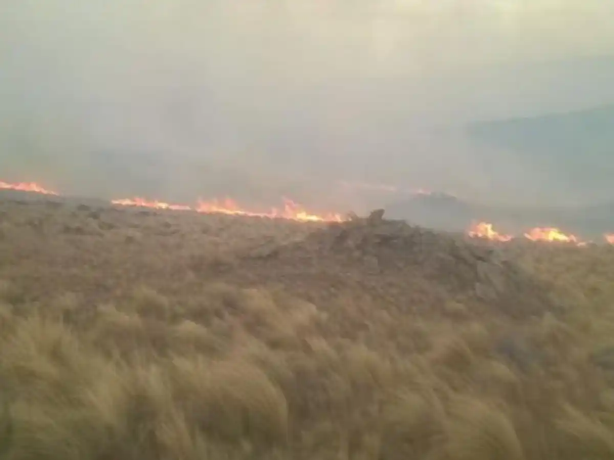 Intentan controlar un grave incendio en Alpa Corral
