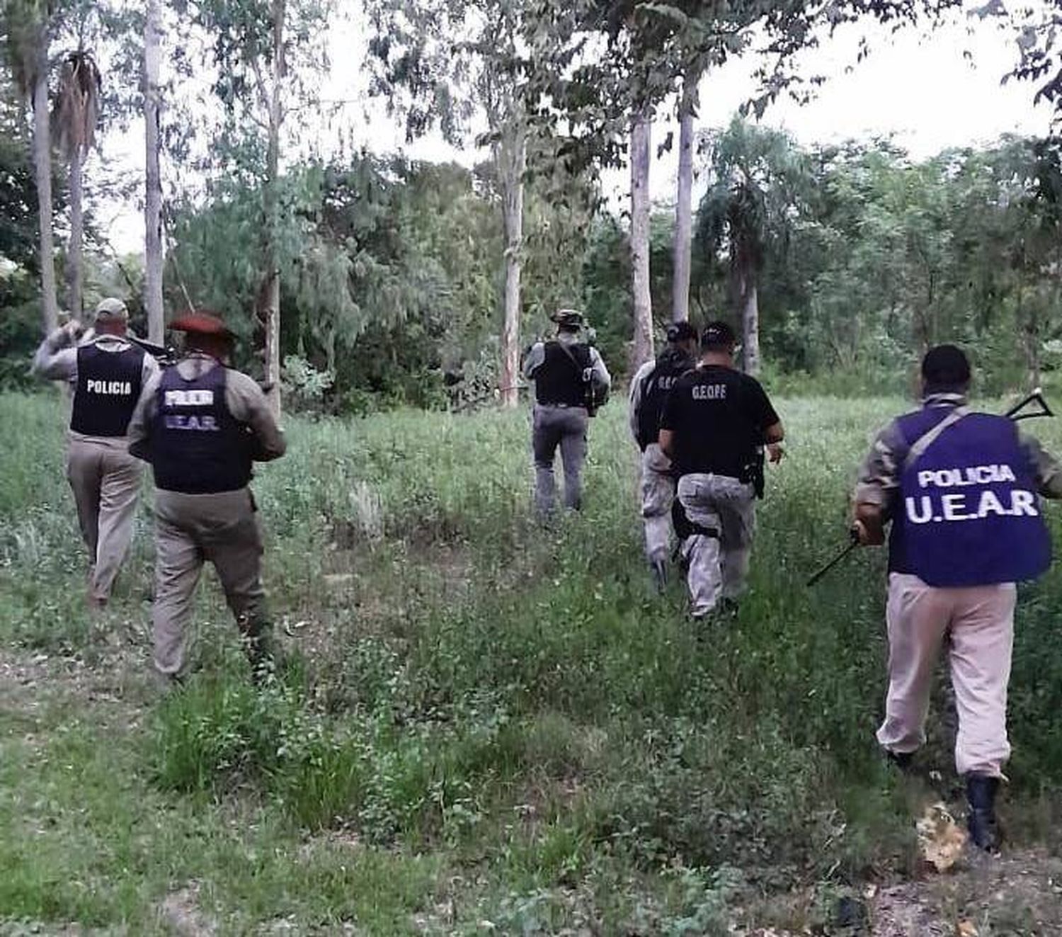Abigeato: La UEAR y la GEOPF
intensifican patrullajes en zonas rurales