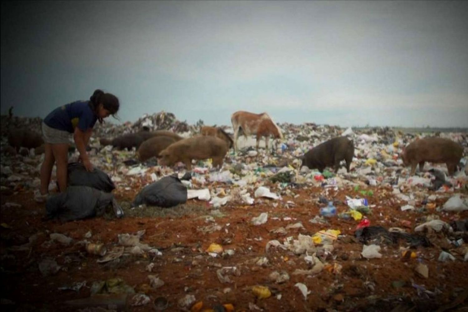 Un canal nacional mostró cómo viven los pobres en Concordia