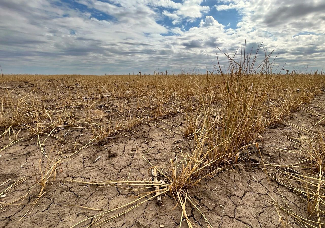 Oficial: toda la provincia de Santa Fe en emergencia agropecuaria