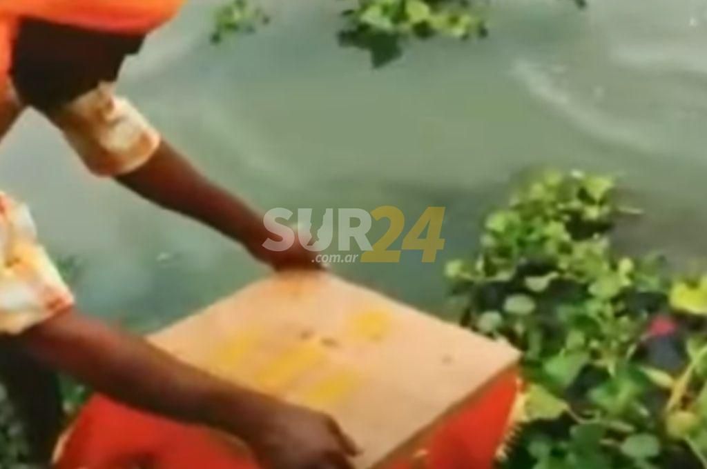Encuentran a una beba flotando en una caja junto a la imagen de una diosa