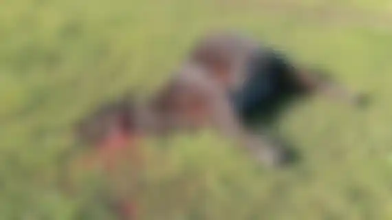 Un productor víctima de abigeato cuestionó la falta de patrullajes y efectivos en la zona rural