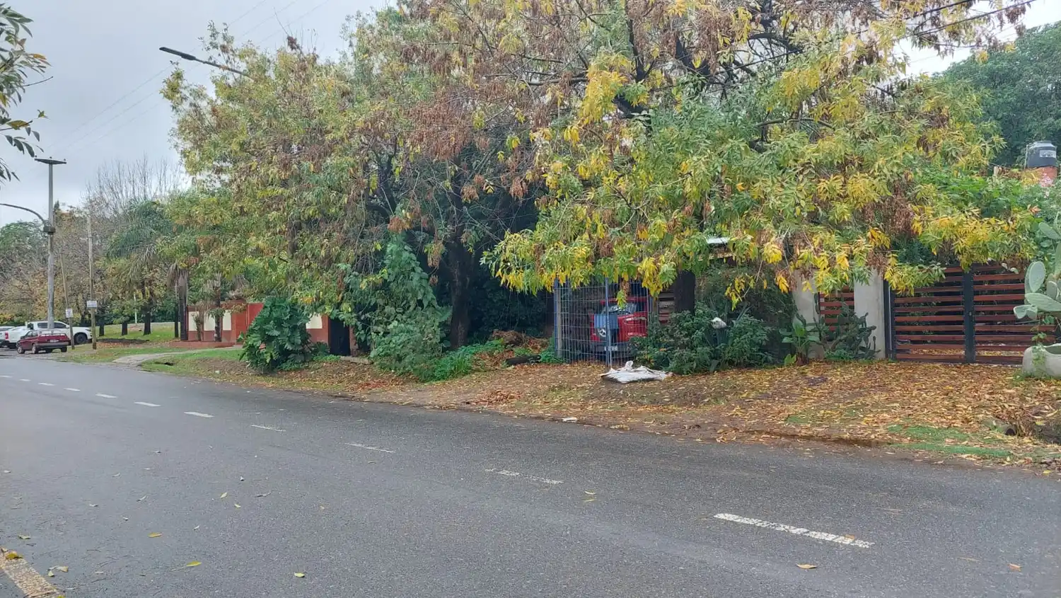 Qué dice el fallo judicial que hizo perder al Municipio derechos sobre terrenos en avenida España