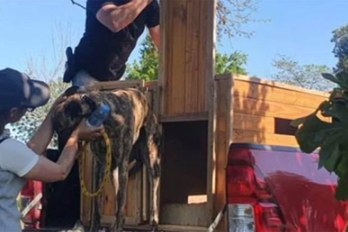 Foto Instagram</p><p>/ Foto: Instagram