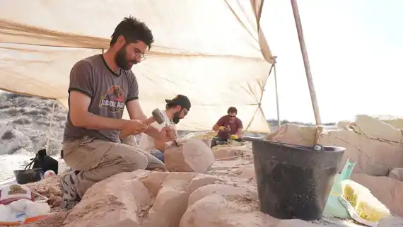 Investigadores del Conicet buscarán dinosaurios "en vivo" en la Patagonia