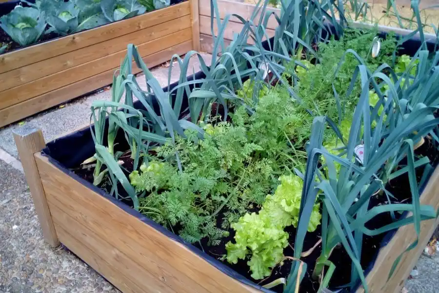 Conversatorio sobre la producción de alimentos en el hogar.