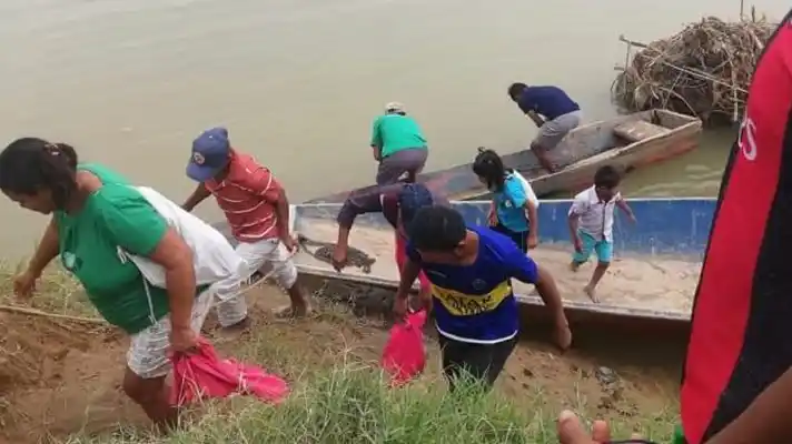 CONFLICTO ARMADO en Apure pone «en riesgo de desaparición» al pueblo indígena Makaguán