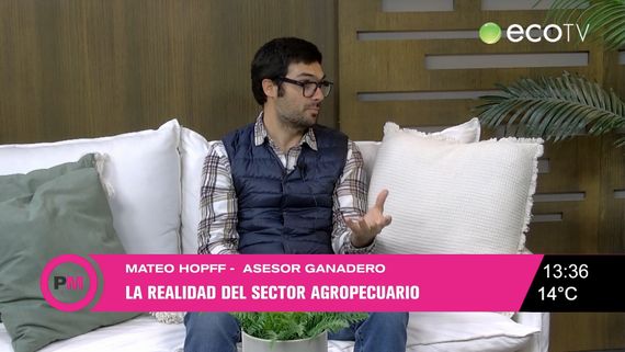 La actualidad del sector ganadero: planificación y perspectivas