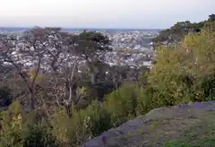 Proponen la reforestación del Parque Independencia