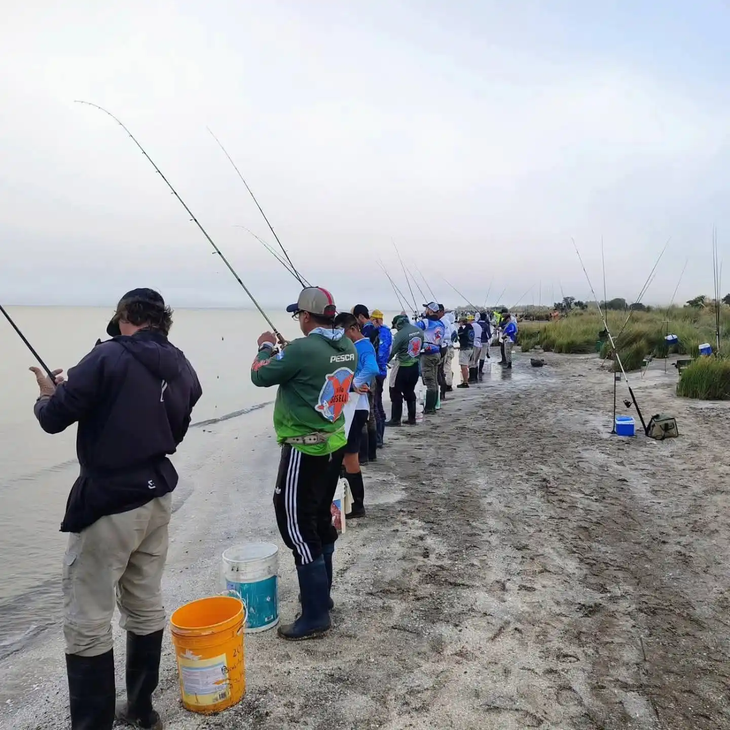 pesca - 3