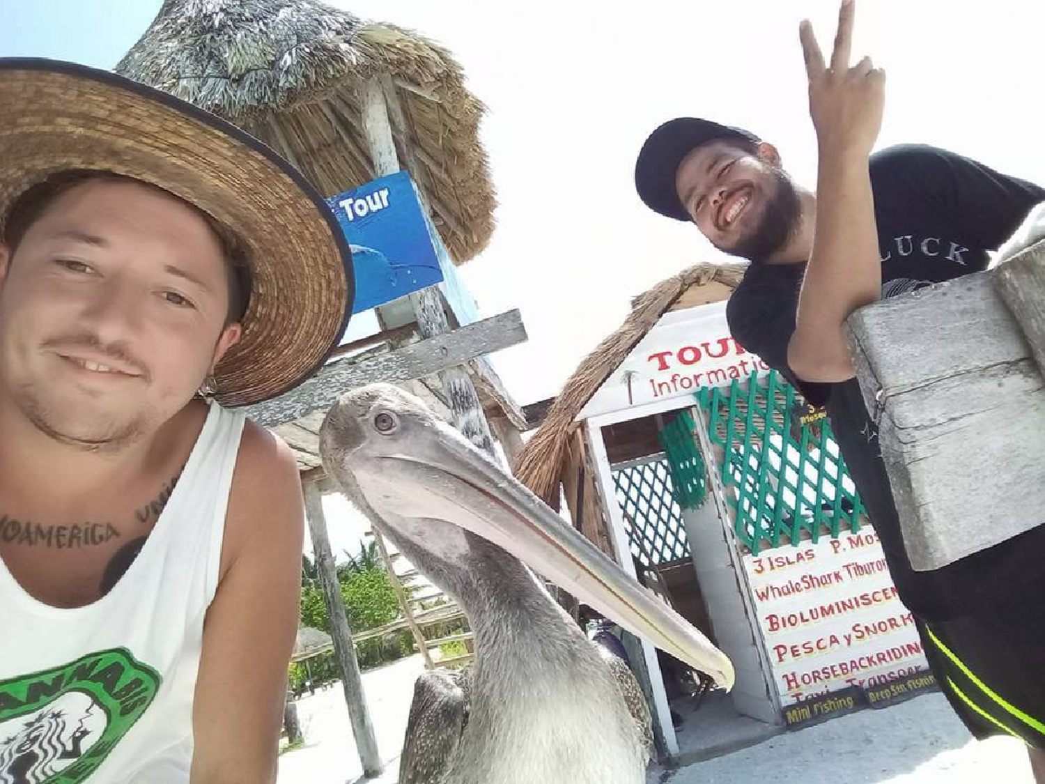 El sanfrancisqueño que rescata animales en México