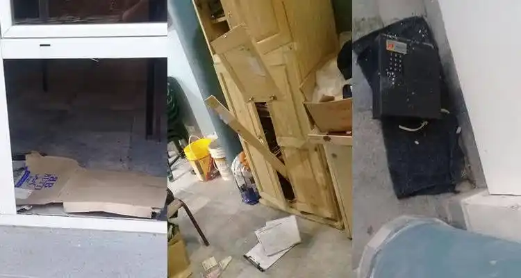 Un detenido por robo y destrozos en el Museo Pato Morresi