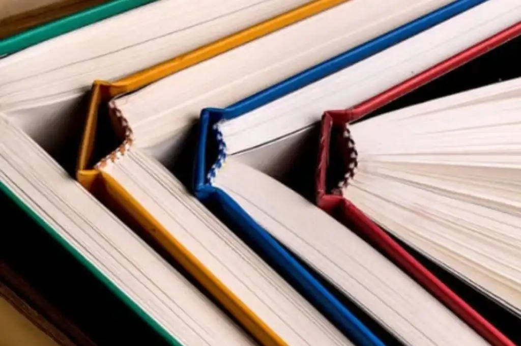Este jueves se celebra el Día Internacional del Libro