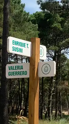 Nombraron Enrique Telémaco Susini a una calle en Pinamar