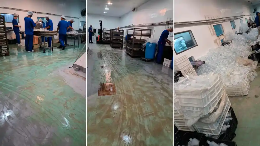 “Había ratas y la gente se descomponía por el calor”: así producían el fentanilo mortal los empleados de Furfaro