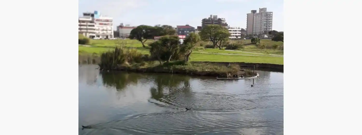 Llaman a licitación para la creación del Parque Ambiental en Punta Mogotes
