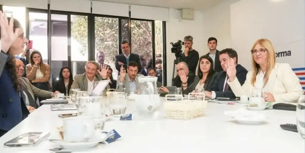 Granata recibió el rechazo del resto de los bloques. Foto: Convención Reformadora