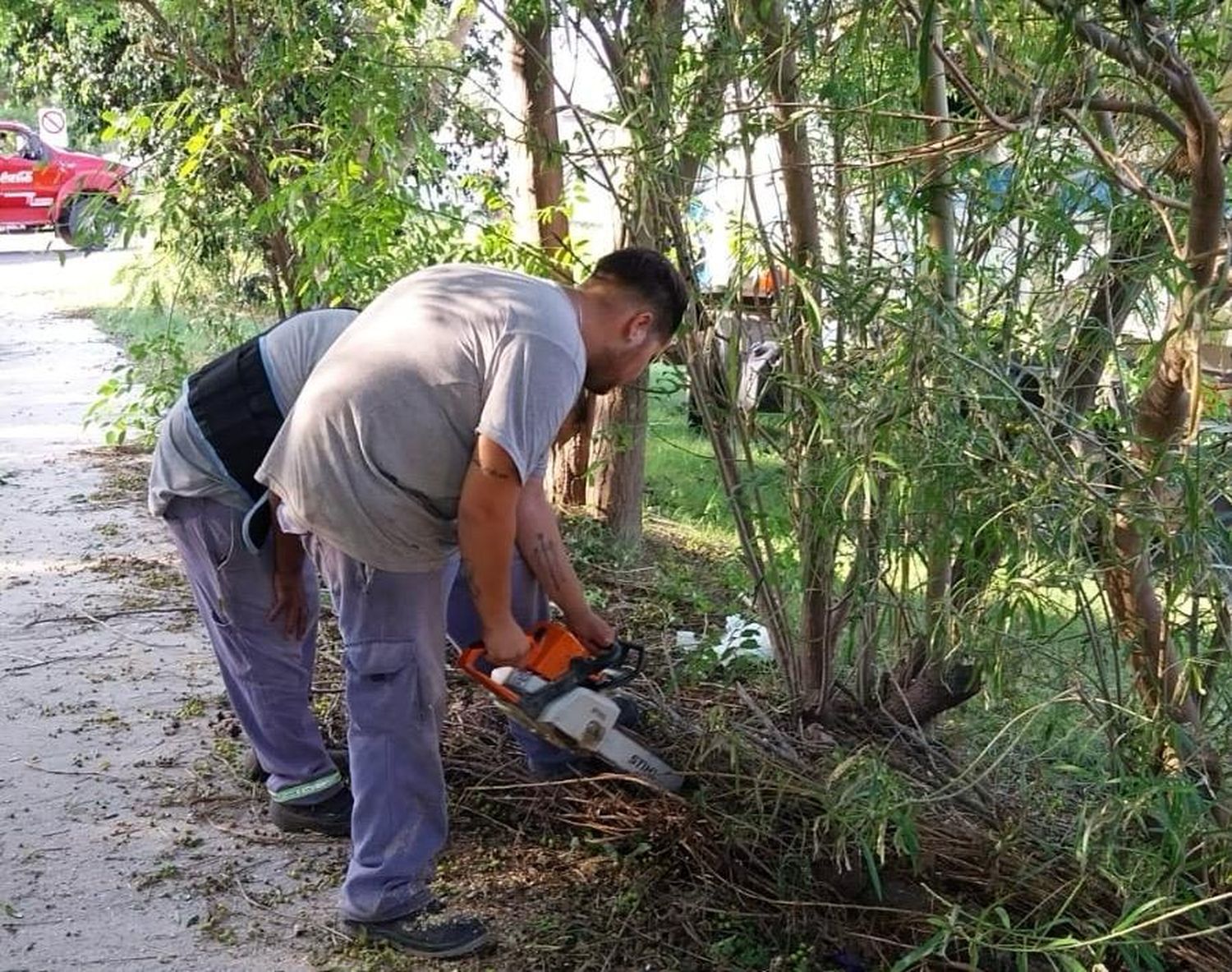 El municipio continúa con la remoción de árboles y ramas que dejó el temporal