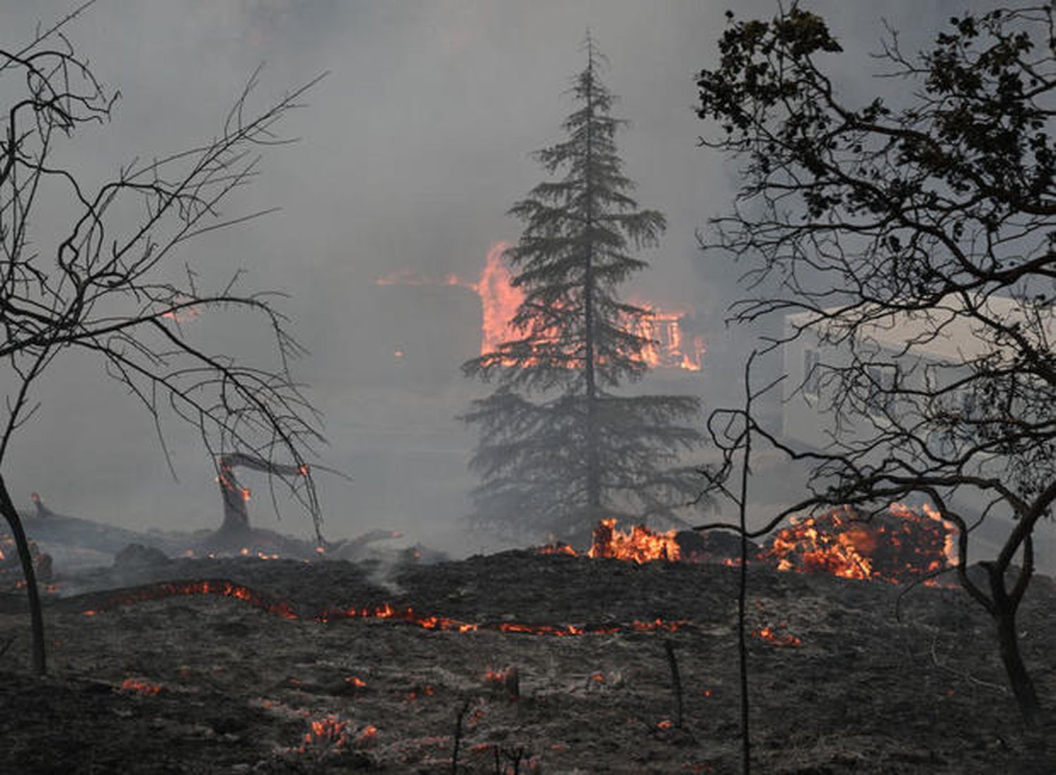 Smoke and flames rise from the forest as crews battle the Park Fire near Chico, California, on July 25, 2024.