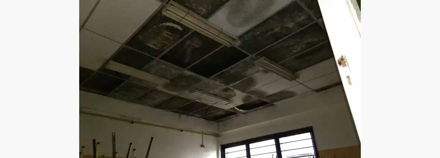 Escuela N°58: la Provincia prevé obras por un millón de pesos