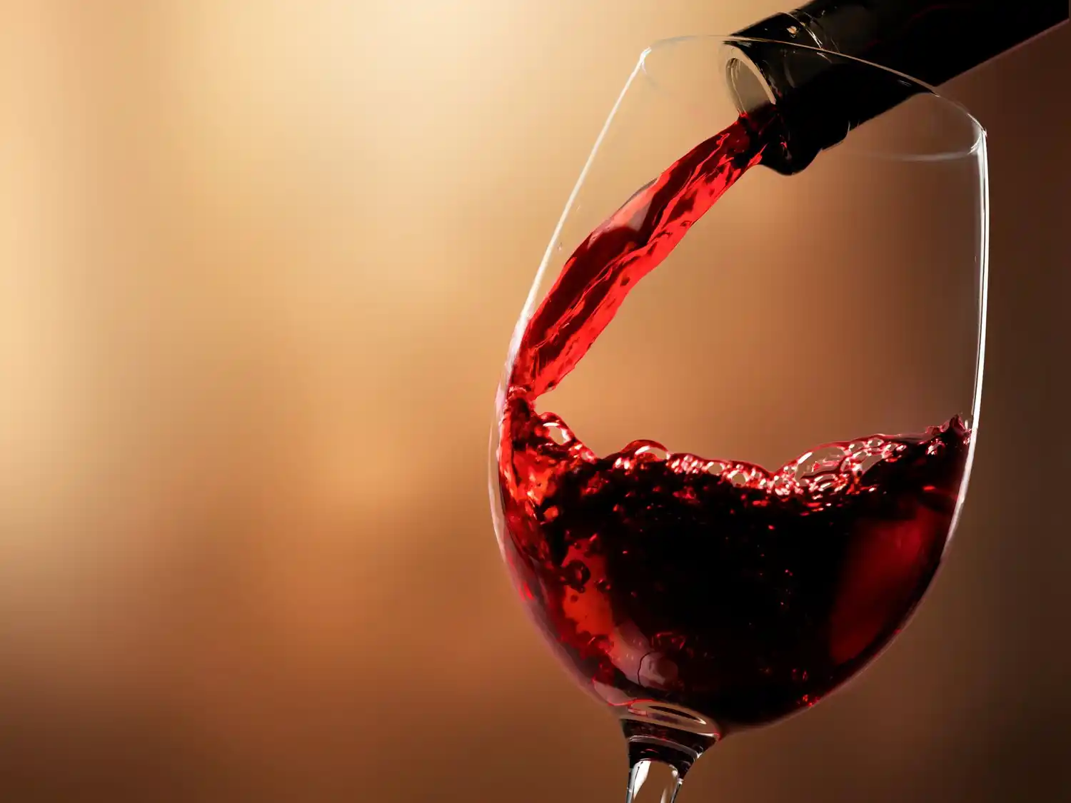 Día Mundial del Malbec.