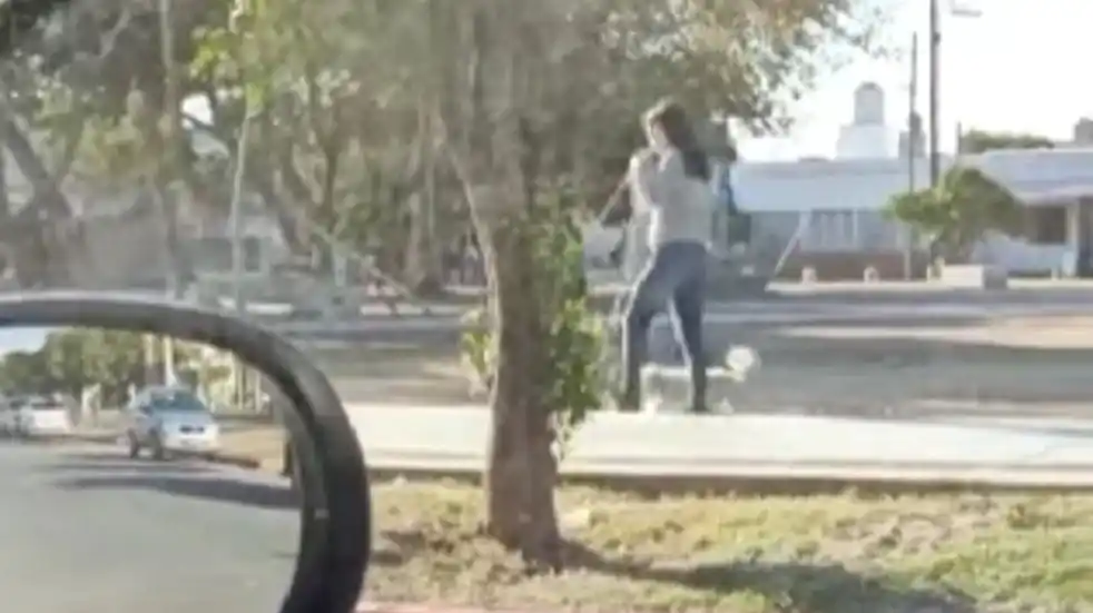 “Están raros los caniches en este barrio”: el viral de una cordobesa que sacó a pasear una exótica mascota